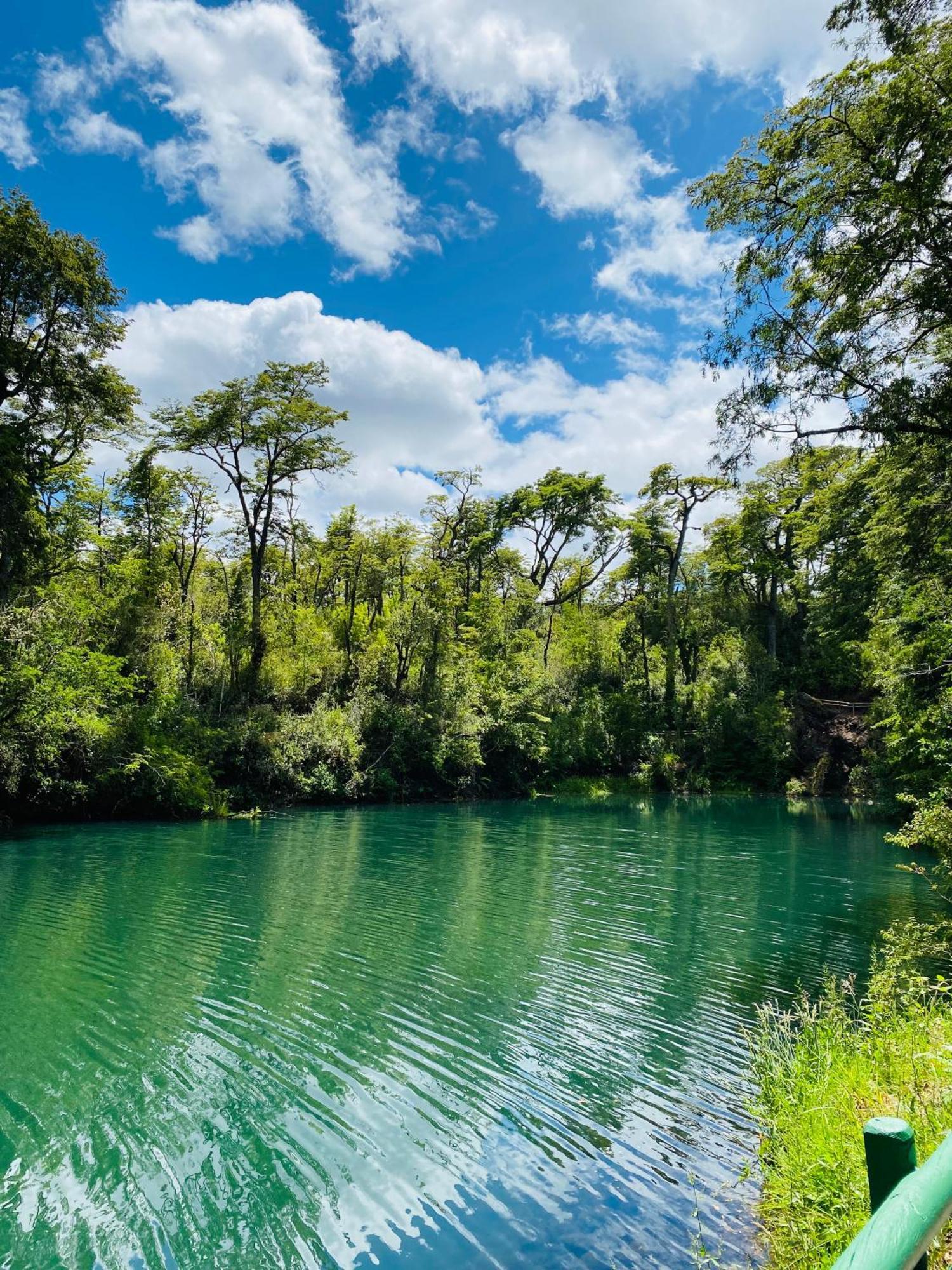 Carpinterito Cabana, Ensenada Campestre 巴拉斯港 外观 照片