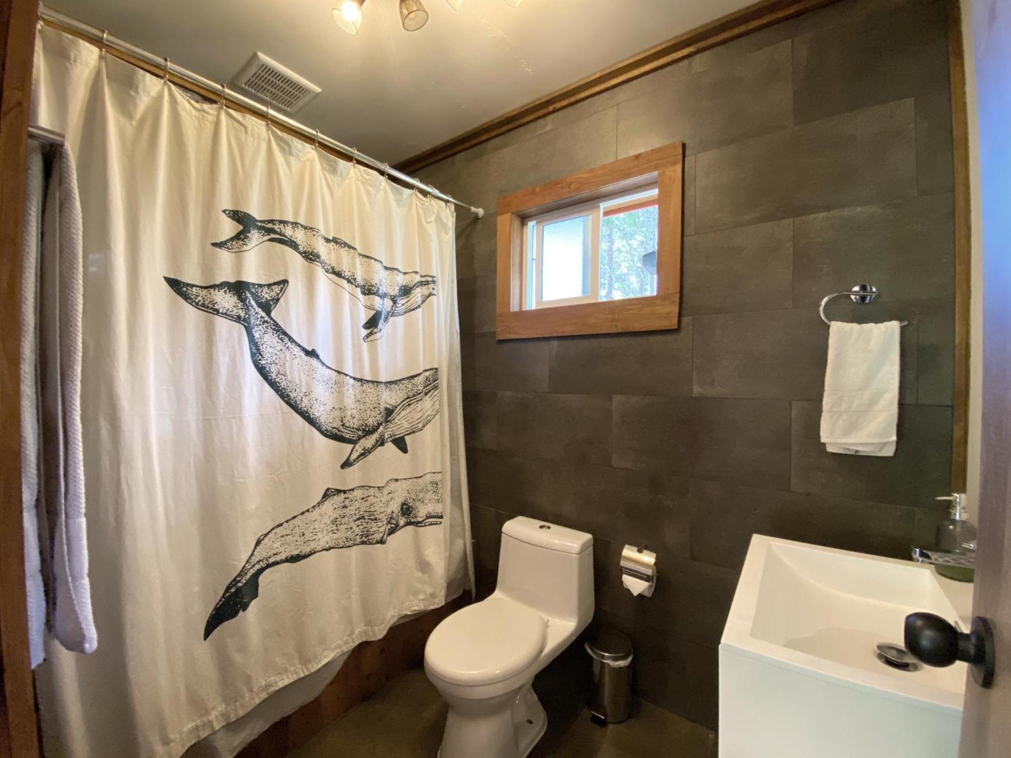 Carpinterito Cabana, Ensenada Campestre 巴拉斯港 外观 照片